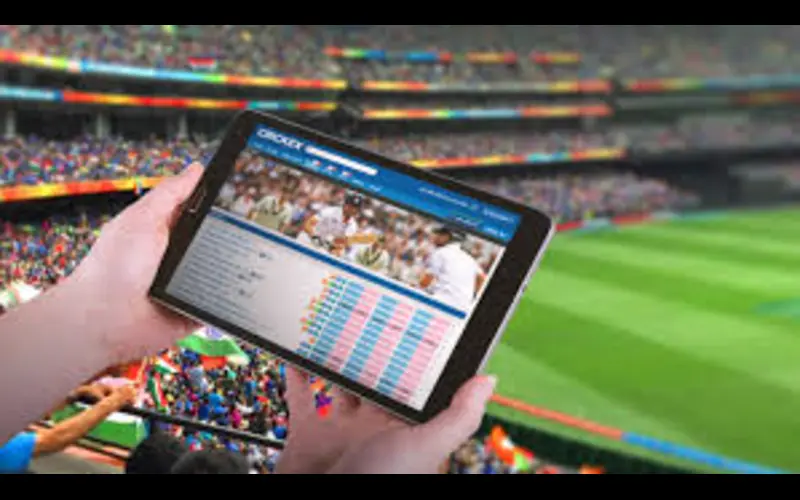 How to Choose the Right Online Cricket Betting Platform